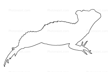 418x279 Basilisk Lizard Outline, Line Drawing - Lizard Line Drawing