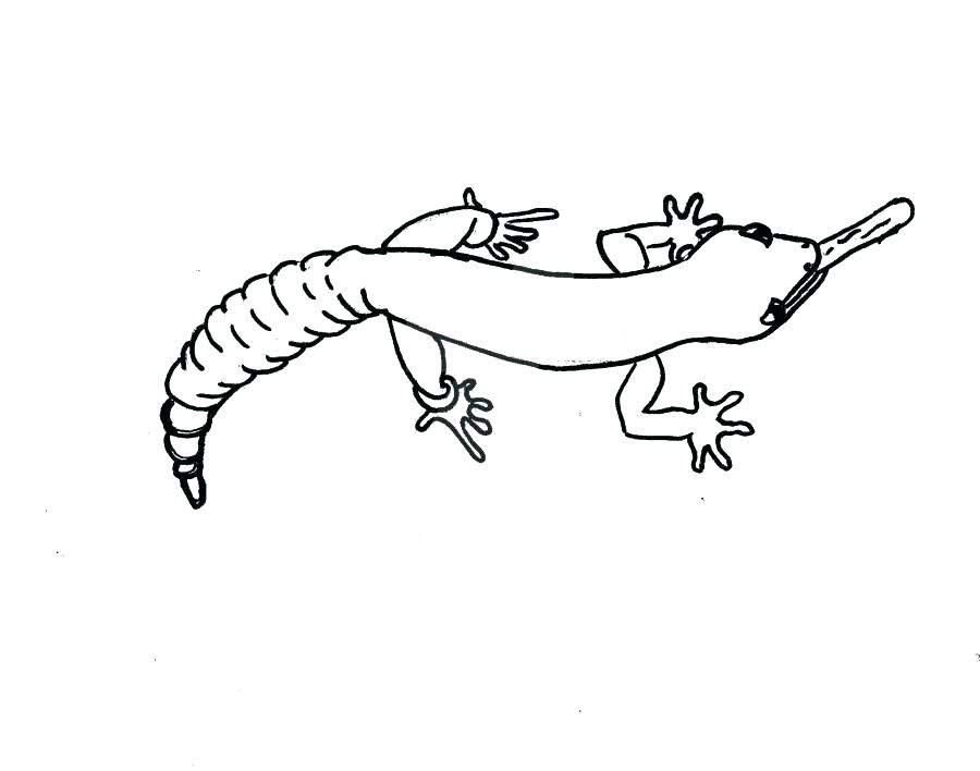 900x708 Coloring Pages For Girls Printable Pdf Halloween Masks Gecko - Lizard Outline Drawing