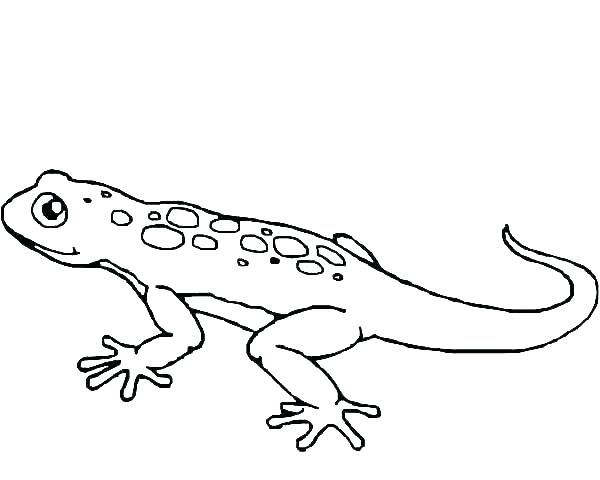 600x480 Coloring Pages Online Games Unblocked For Kids Summer Peaceful - Lizard Outline Drawing