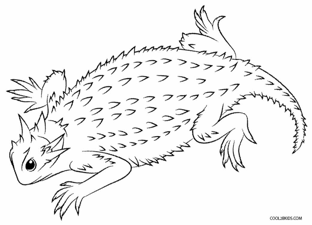 1040x751 lizard coloring pages cropmobatl preschool coloring pages lizard - Lizard Outline Drawing