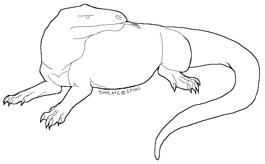 885x549 Lizard Template - Lizard Outline Drawing