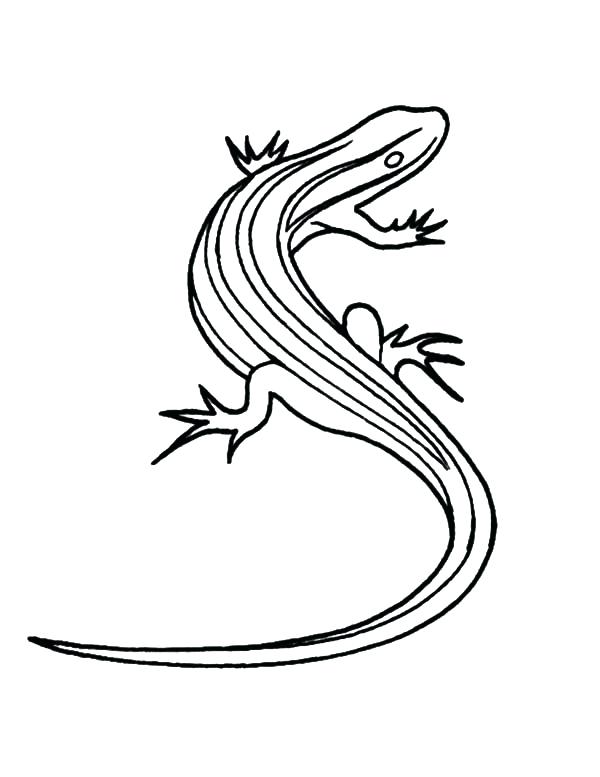 600x777 Lizards That Change Color Haljinezamaturu - Lizard Outline Drawing