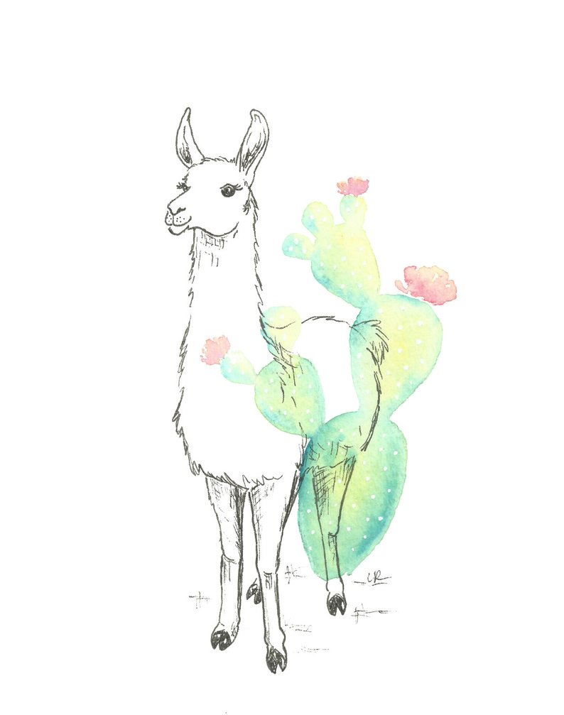 794x1007 Llama Print Llama Nursery Decor Cactus Watercolor Ink Etsy - Llama Drawing
