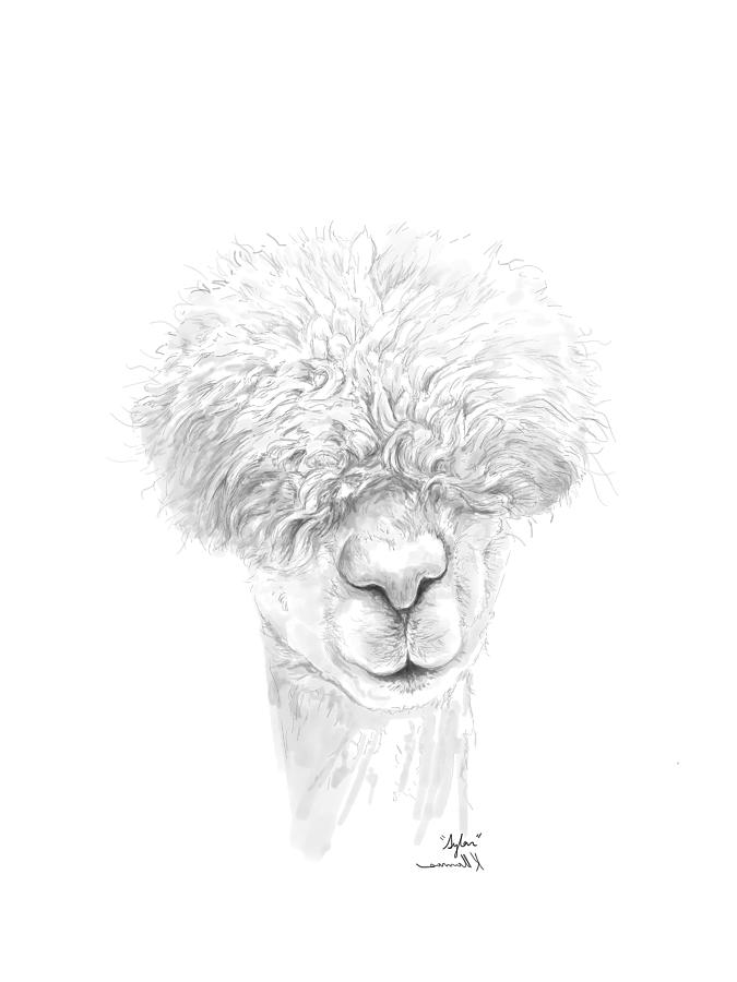 675x900 Sylar Drawing - Llama Drawing