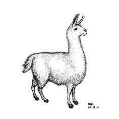 236x236 Best Llama Drawing Images Llama Drawing, Llamas, Drawings - Llama Drawing
