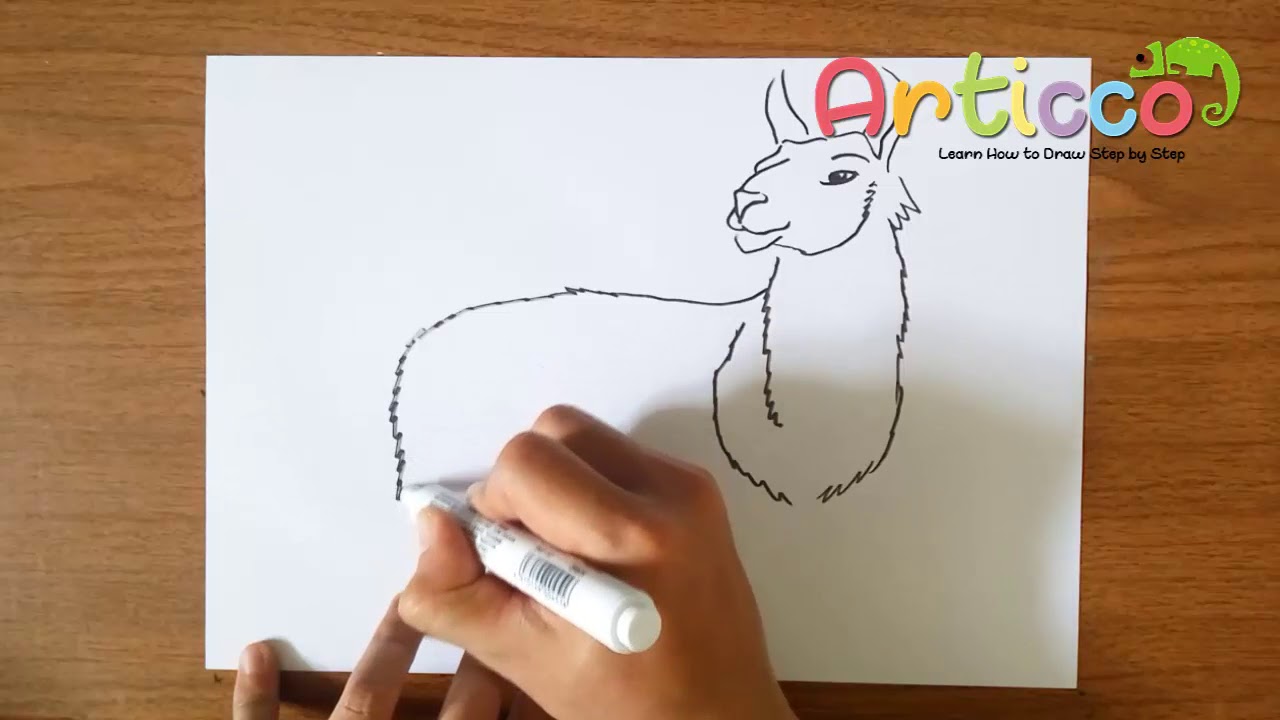 1280x720 how to draw llama for beginner step - Llama Drawing Easy