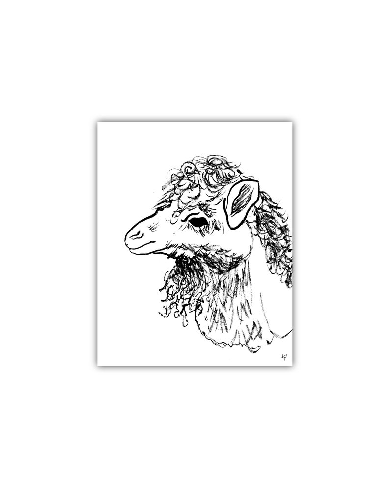 794x993 Contour Line Drawing Llama Art Wall Art Print Ink Drawing Etsy - Llama Line Drawing