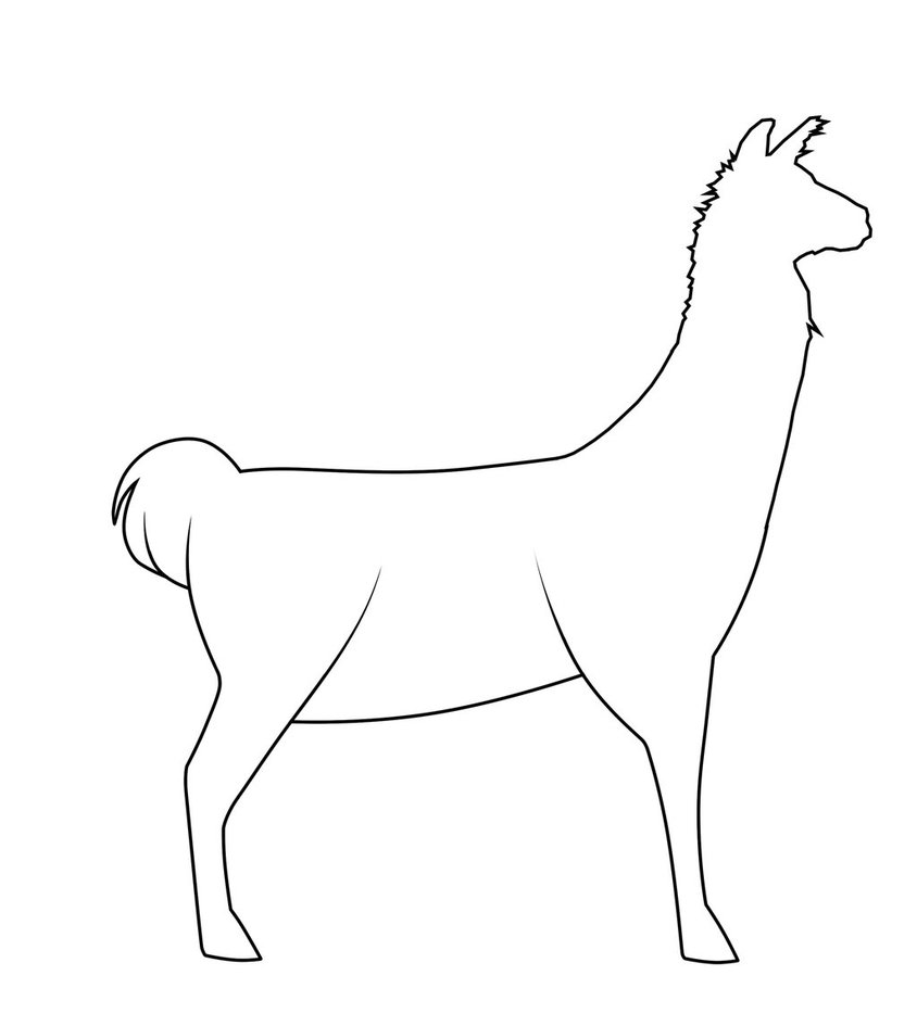Llama Line Drawing at Explore collection of Llama