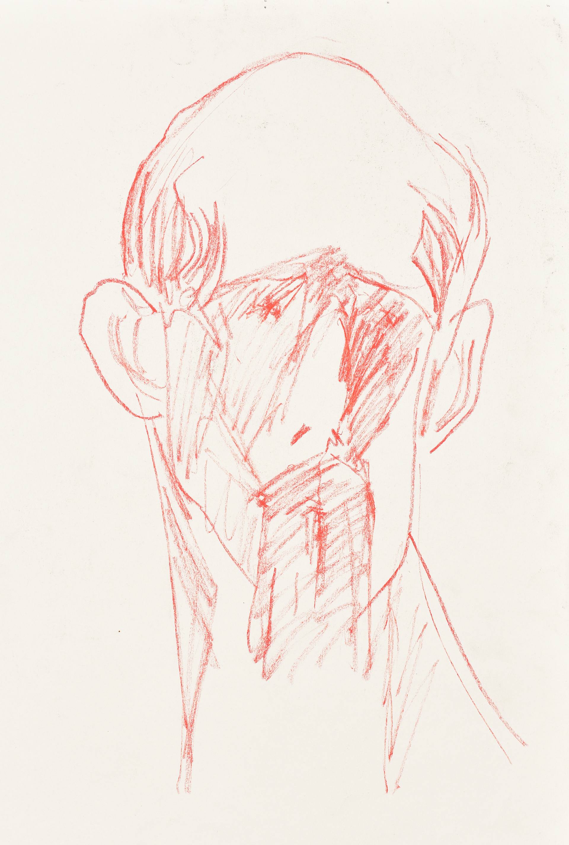 1920x2849 Line Drawing In Red Drawing - Llama Line Drawing