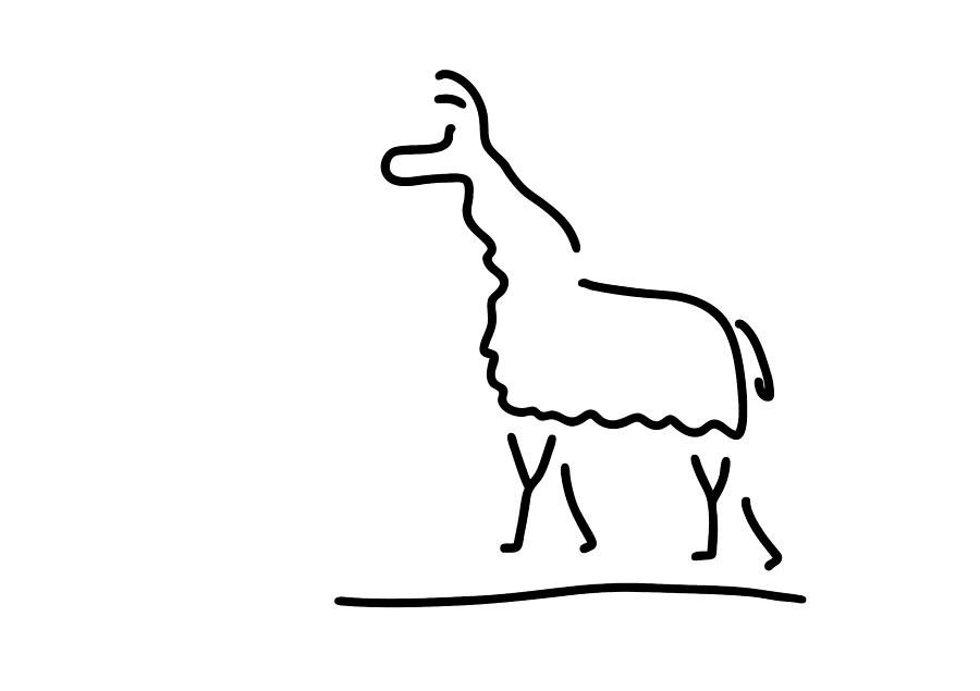 900x635 Llama Alpaca Drawing - Llama Line Drawing