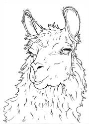 179x250 Llama Line Art - Llama Line Drawing