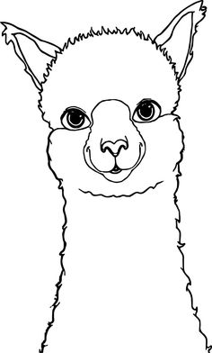236x392 best llama drawing images llama drawing, llamas, drawings - Llama Line Drawing