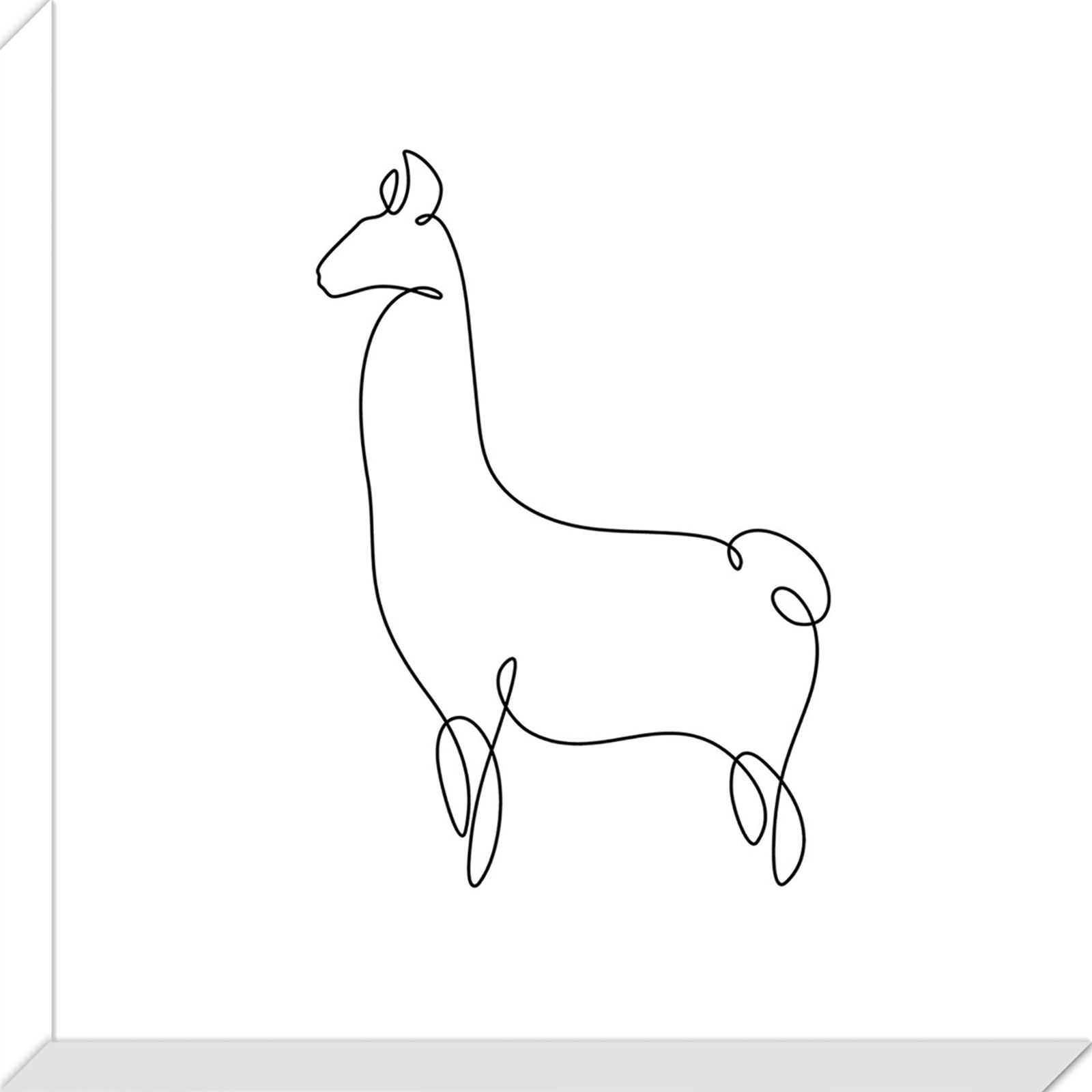 Llama Line Drawing At Explore Collection Of Llama Line Drawing