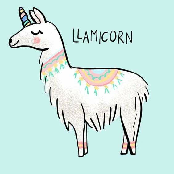 564x564 llamacorn my ref cute llama, unicorn drawing, cute drawings - Llamacorn Drawing