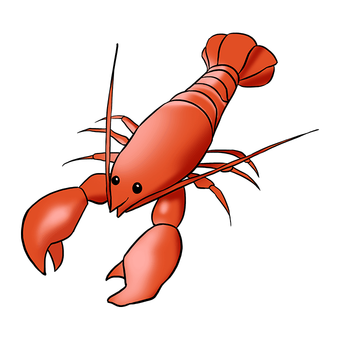 Lobster Cartoon Drawing at Explore collection of