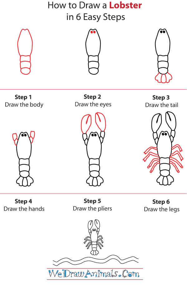 600x913 how to draw a lobster - Lobster Cartoon Drawing