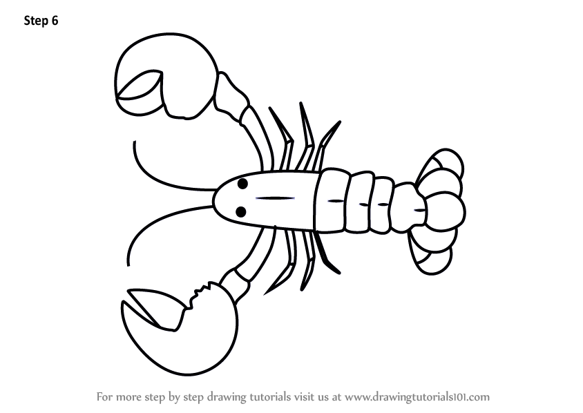844x598 learn how to draw a cartoon lobster - Lobster Cartoon Drawing