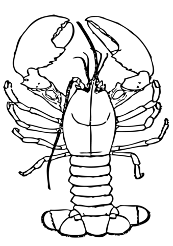 339x480 lobster cartoon drawing - Lobster Cartoon Drawing