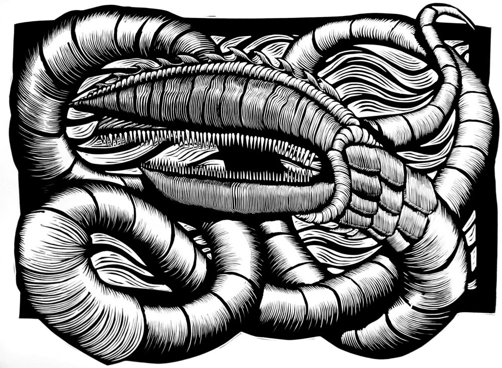 Lobster Claw Drawing at Explore collection of