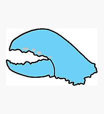 210x230 Lobster Claw Drawing Photographic Prints Redbubble - Lobster Claw Drawing