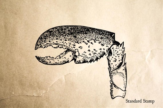 570x380 Lobster Claw Rubber Stamp X Inches Etsy - Lobster Claw Drawing