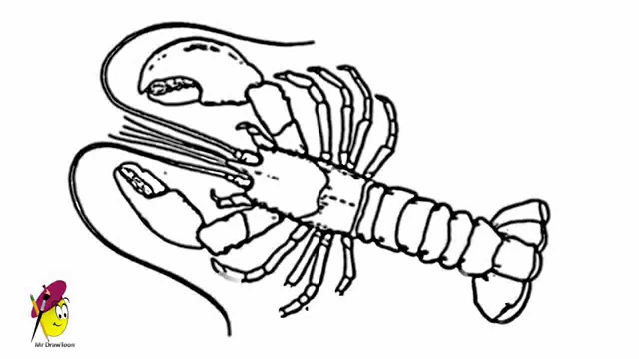 1280x720 Lobster - Lobster Drawing