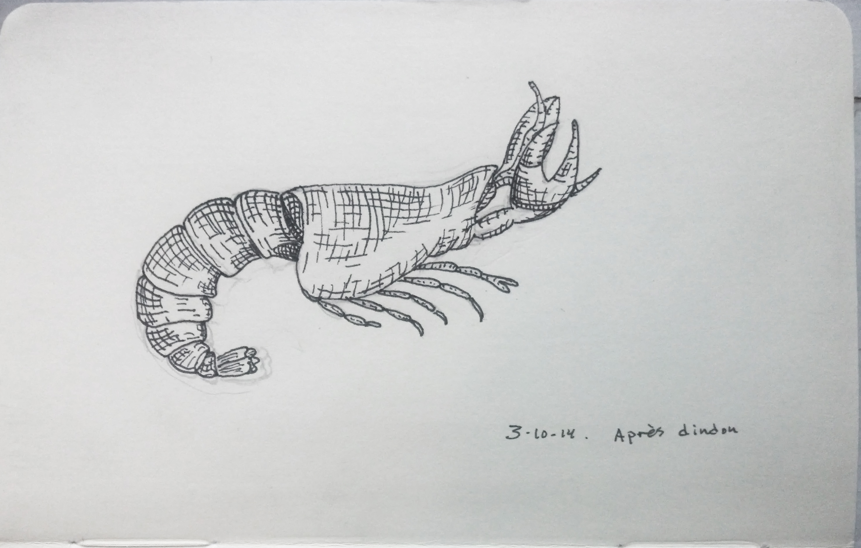 2952x1878 Study Of Lobster Drawing After Dindonism - Lobster Drawing