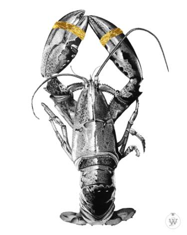 375x469 The Lobster Drawing - Lobster Drawing