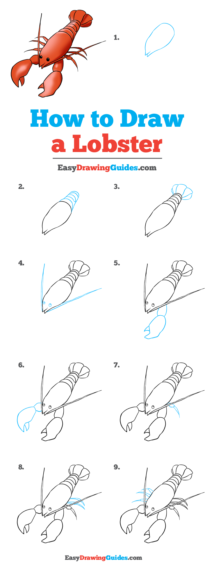 736x1961 How To Draw A Lobster - Lobster Drawing