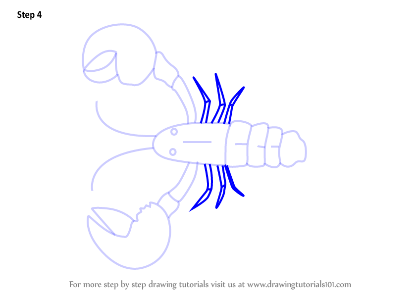844x598 Learn How To Draw A Cartoon Lobster - Lobster Drawing For Kids