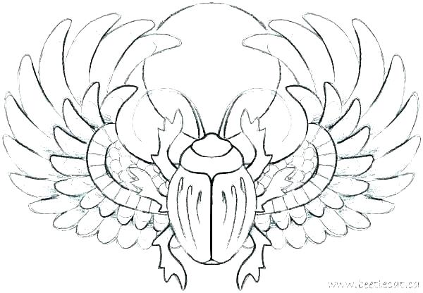 600x416 Lobster Coloring - Lobster Drawing For Kids