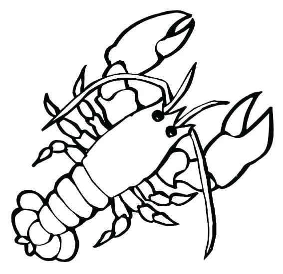 567x550 Lobster Coloring Pages - Lobster Drawing For Kids