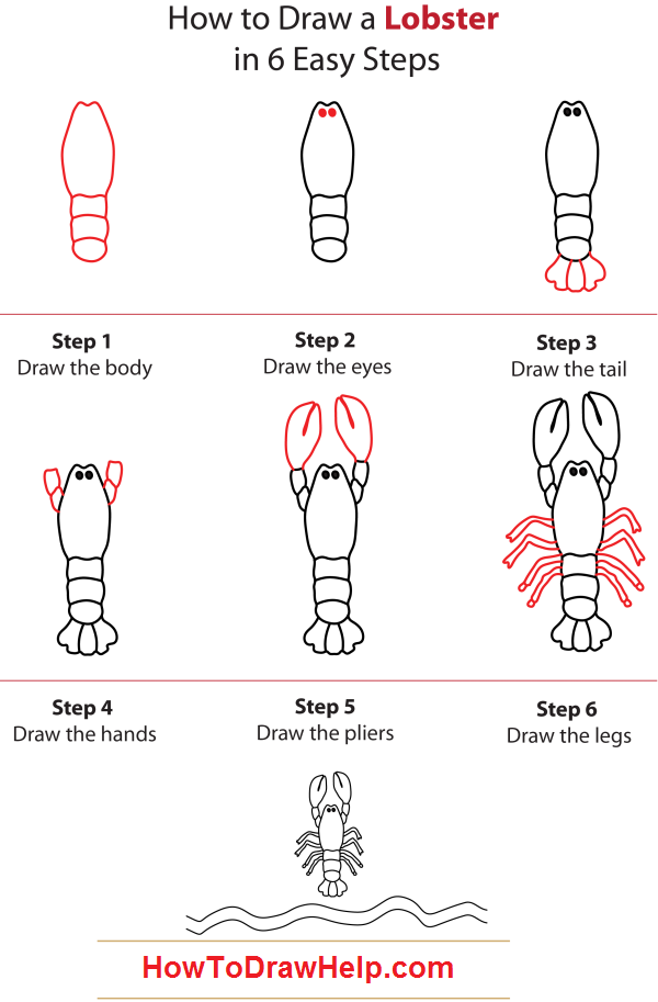 600x913 How To Draw Step - Lobster Drawing For Kids