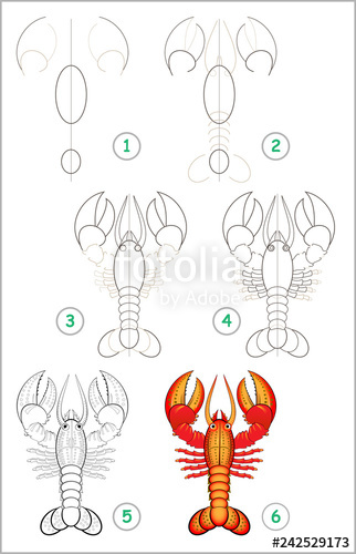 322x500 Educational - Lobster Drawing For Kids