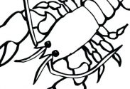 183x125 Free Printable Lobster Coloring Pages Maine - Lobster Drawing For Kids
