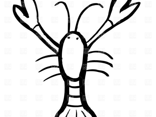 640x480 Drawn Lobster Line Drawing - Lobster Line Drawing