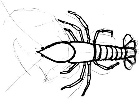450x325 How To Draw A Lobster - Lobster Line Drawing
