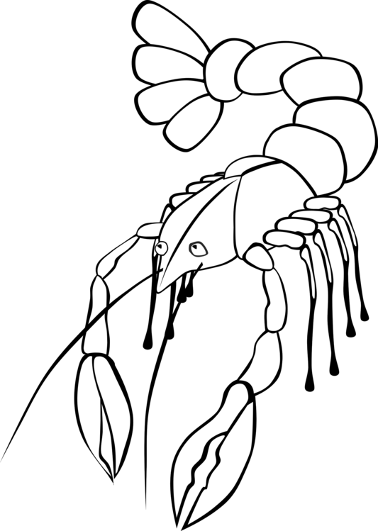 533x749 lobster drawing download line art crayfish cc0 - Lobster Line Drawing