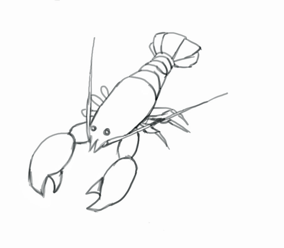 906x792 Lobster - Lobster Line Drawing