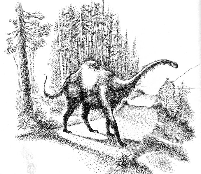 689x594 loch ness monster nessie on land the fordyce case - Loch Ness Monster Drawing