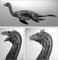 236x245 best loch ness monster images in loch ness monster, sea - Loch Ness Monster Drawing