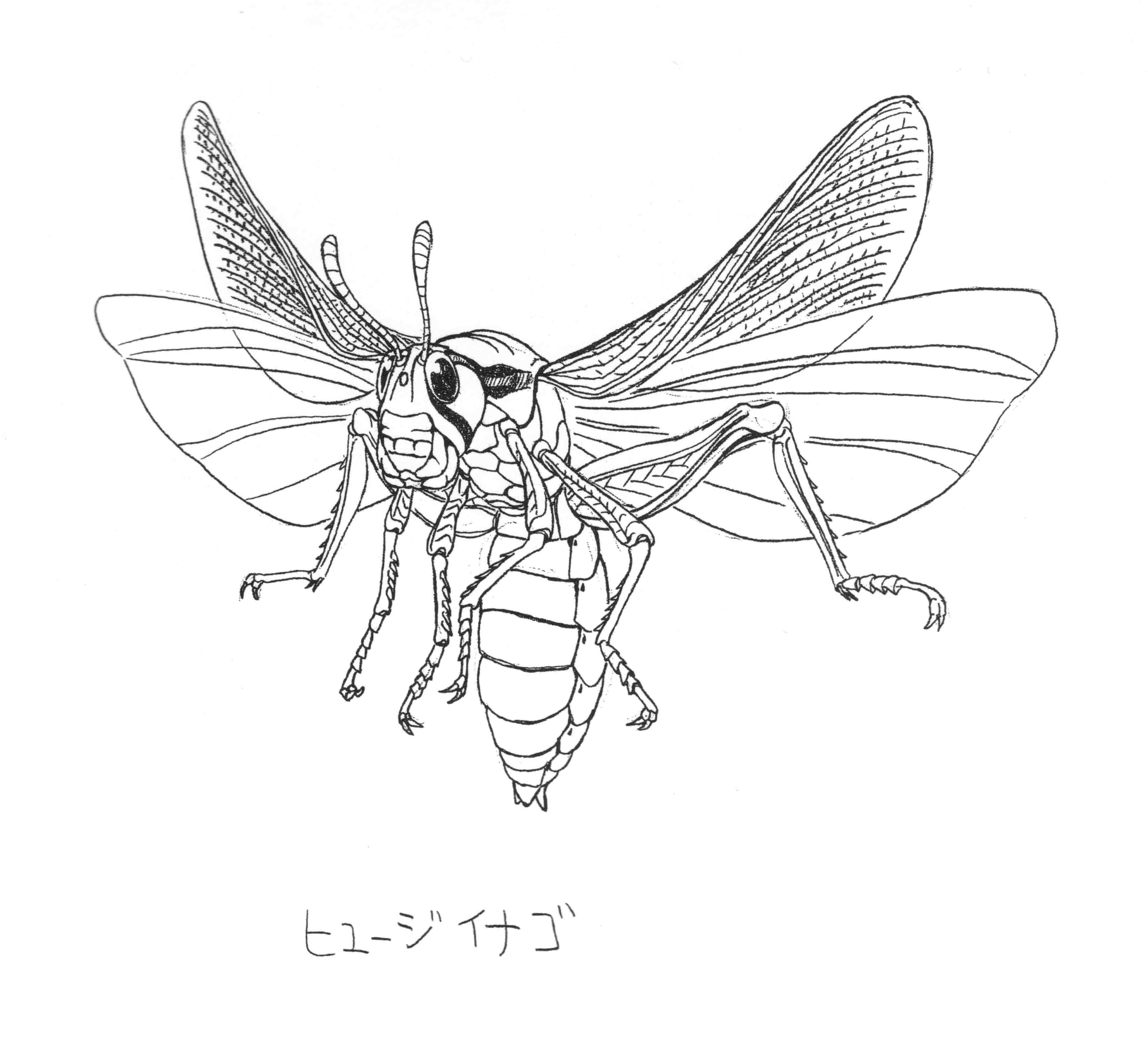 Locust Drawing at Explore collection of Locust Drawing