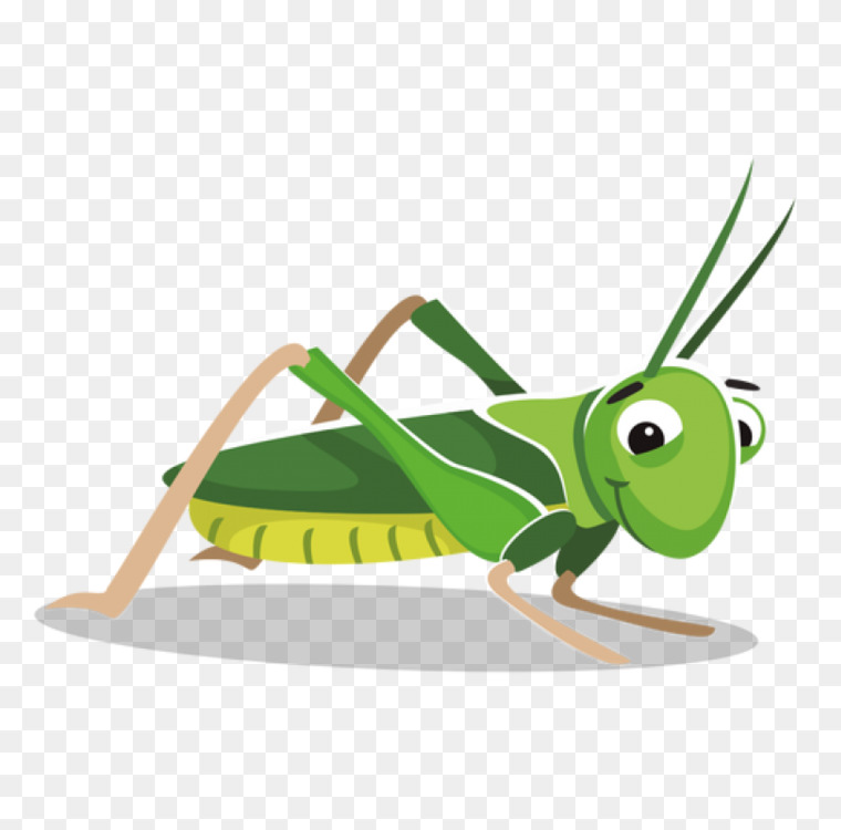 760x750 insect grasshopper drawing locust cartoon cc0 - Locust Drawing