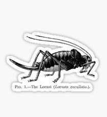 210x230 locust drawing stickers redbubble - Locust Drawing