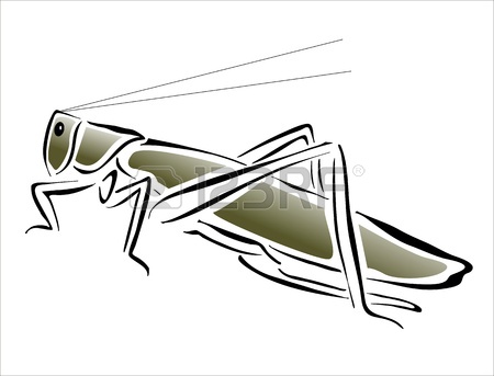 450x343 grasshopper locust drawing - Locust Drawing