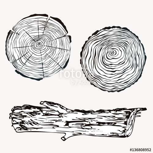 500x500 Collection With Wood Textures Tree Growth Rings And Old Log Hand - Log Drawing