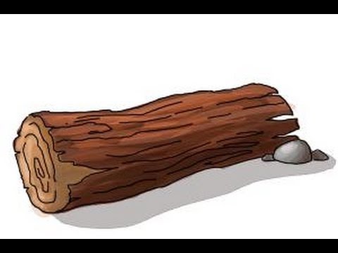 480x360 How To Draw A Log - Log Drawing