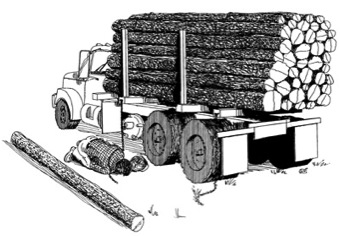340x236 Log Falls Off Truck And Kills Timber Cutter - Log Truck Drawing