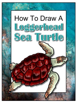 264x350 How To Draw A Loggerhead Sea Turtle - Loggerhead Sea Turtle Drawing