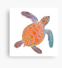 210x230 Loggerhead Sea Turtle Drawing Metal Prints Redbubble - Loggerhead Sea Turtle Drawing